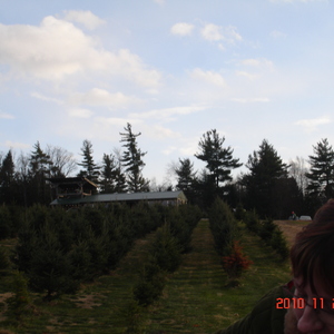 dsc01005.jpg