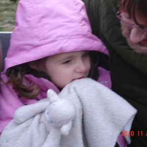 dsc01007.jpg