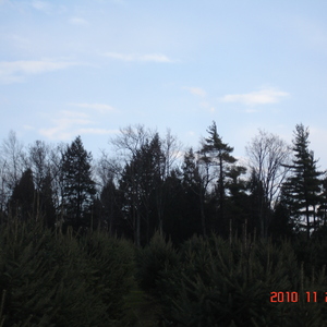 dsc01008.jpg