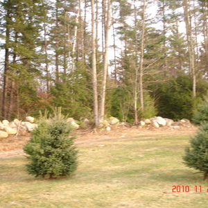 dsc01011.jpg