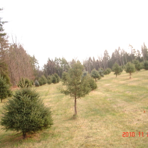 dsc01012.jpg