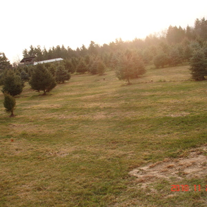 dsc01013.jpg