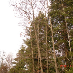 dsc01014.jpg