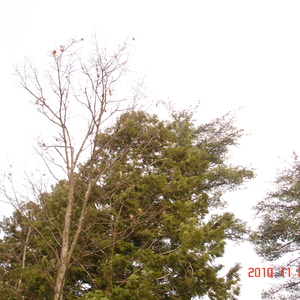 dsc01015.jpg