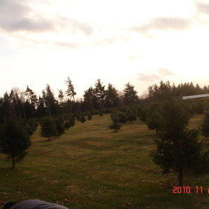 dsc01017.jpg