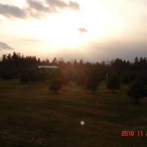 dsc01019.jpg