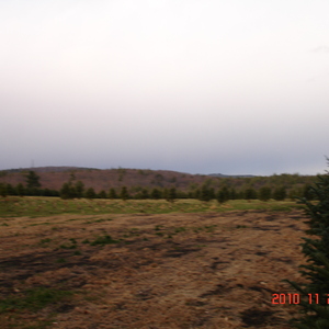 dsc01038.jpg