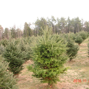 dsc01040.jpg