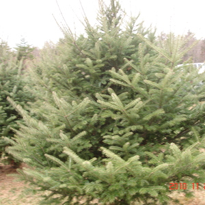 dsc01061.jpg