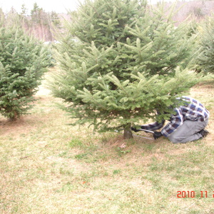 2010_Grandma_pics_Nov