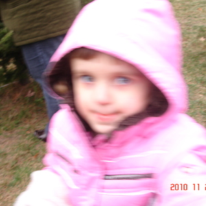 dsc01071.jpg