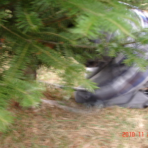 dsc01077.jpg