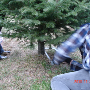 dsc01083.jpg