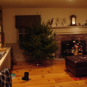 dsc01094.jpg