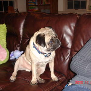 dsc01099.jpg