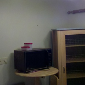 2010-08-22_12-06-41_342.jpg