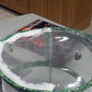 2010-09-05_13-58-27_472.jpg