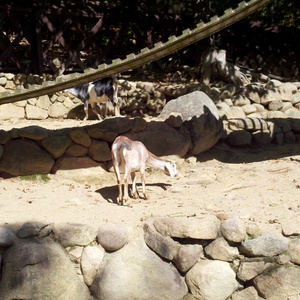 2010-10-03_14-00-26_305.jpg
