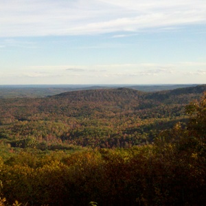 2010-10-11_16-52-32_812.jpg