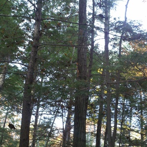 2010-10-30_14-34-14_469.jpg