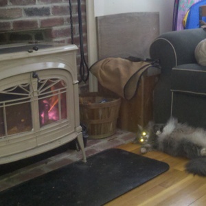 2011-01-08_12-57-40_555.jpg