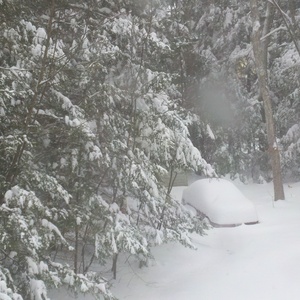 2011-01-12_13-23-04_790.jpg