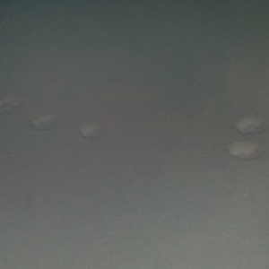 2011-02-03_07-12-32_927.jpg