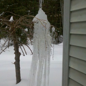 2011-02-05_14-40-39_977.jpg