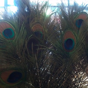 2011-12-04_12-23-56_209.jpg