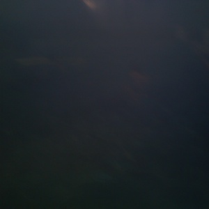 IMG_20120223_175602.jpg