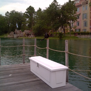 IMG_20120513_184338.jpg