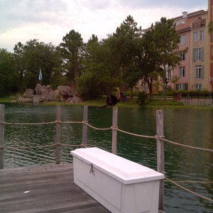 IMG_20120513_184343.jpg