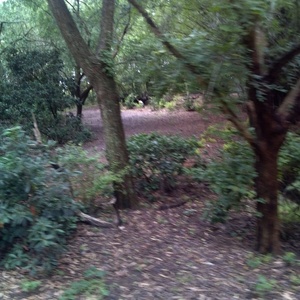 IMG_20120517_111951.jpg