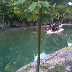IMG_20120517_112108.jpg