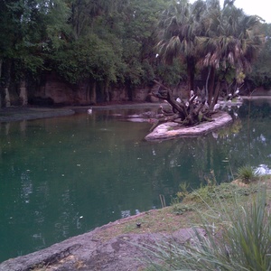 IMG_20120517_112112.jpg