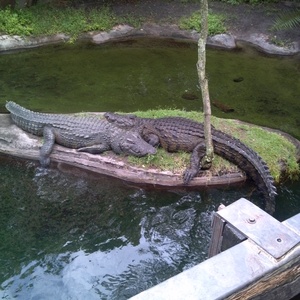 IMG_20120517_112219.jpg