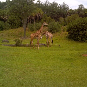IMG_20120517_112522.jpg