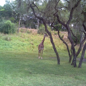 IMG_20120517_112534.jpg