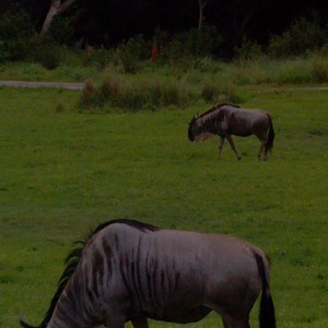 IMG_20120517_112725.jpg