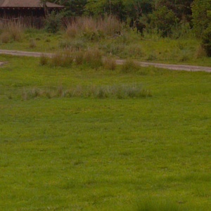 IMG_20120517_112734.jpg