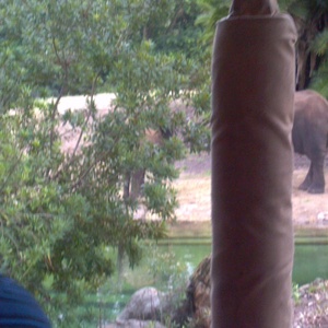 IMG_20120517_112910.jpg