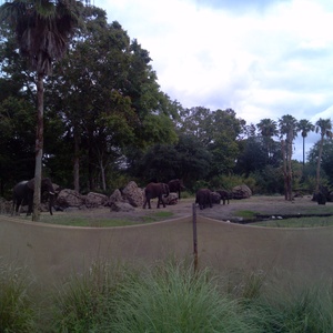 IMG_20120517_113206.jpg
