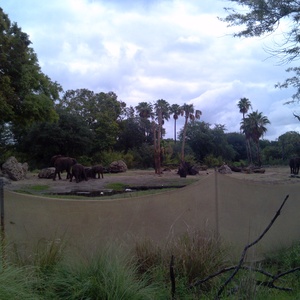 IMG_20120517_113211.jpg