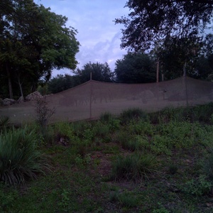 IMG_20120517_113221.jpg