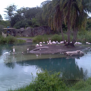 IMG_20120517_113243.jpg