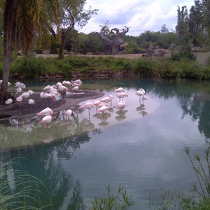 IMG_20120517_113256.jpg