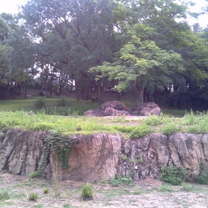 IMG_20120517_113427.jpg