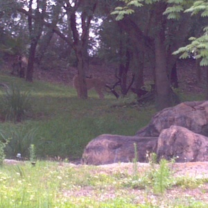 IMG_20120517_113435.jpg