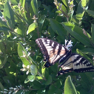 IMG_20120617_165405.jpg