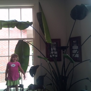 IMG_20120728_135521.jpg